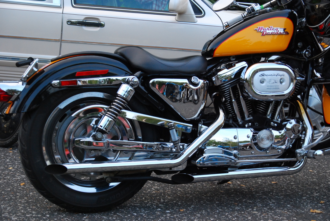 DSC_3115.JPG