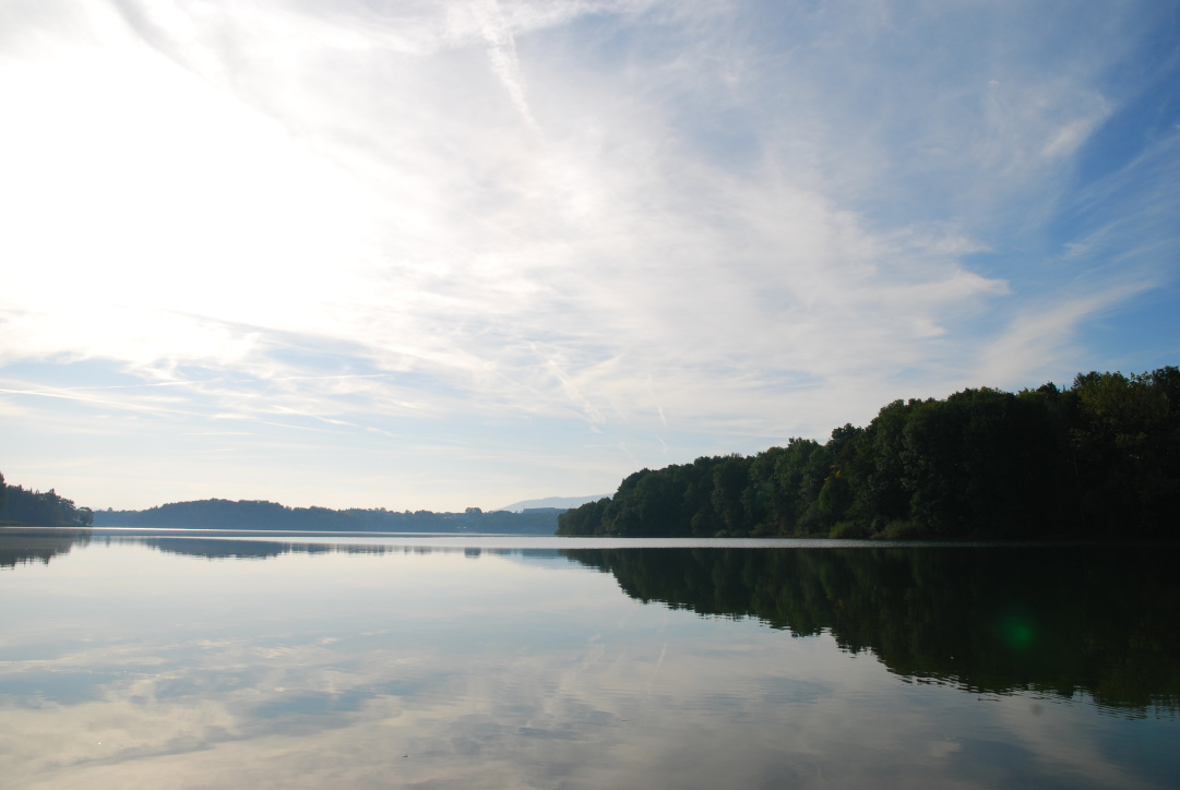 DSC_3204.JPG